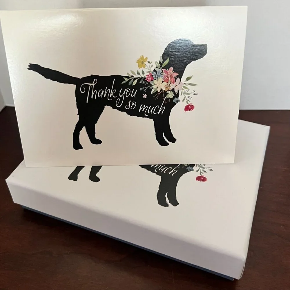 Black Lab 